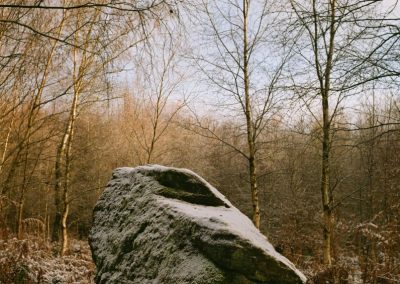 The Rock of Birch Forest