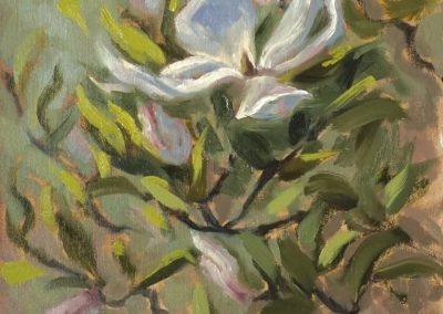 Magnolia