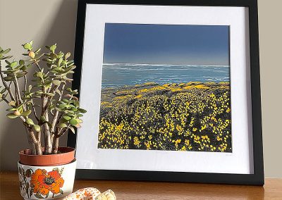 Blooming Gorse PDA